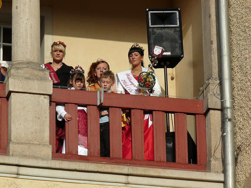 Zwiebeln &uuml;ber Zwiebeln