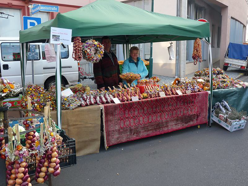 Zwiebeln &uuml;ber Zwiebeln