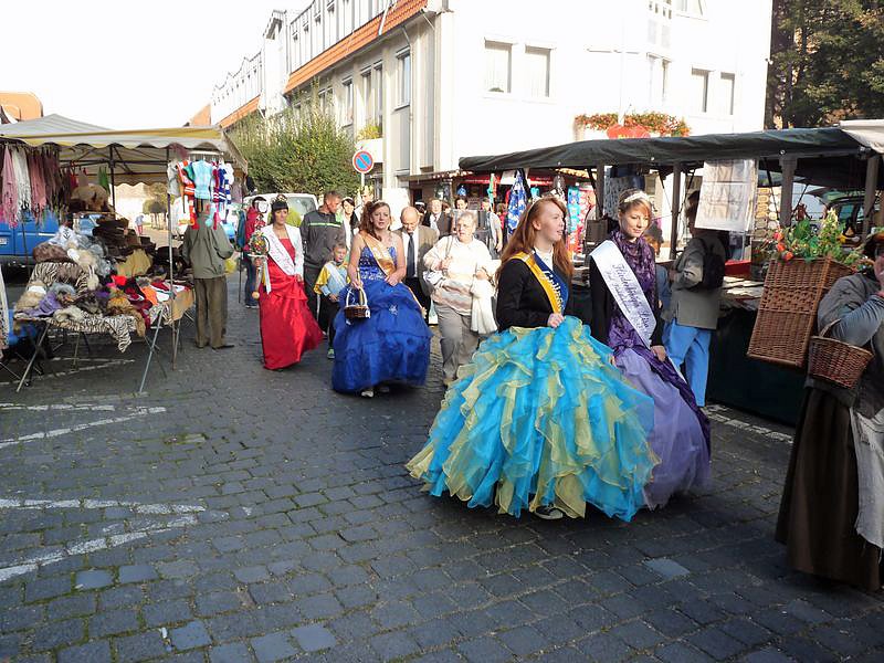 Zwiebeln &uuml;ber Zwiebeln