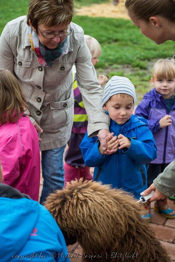Therapiehunde unterwegs