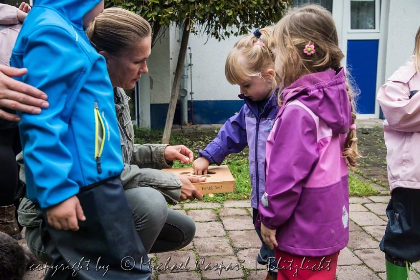 Therapiehunde unterwegs