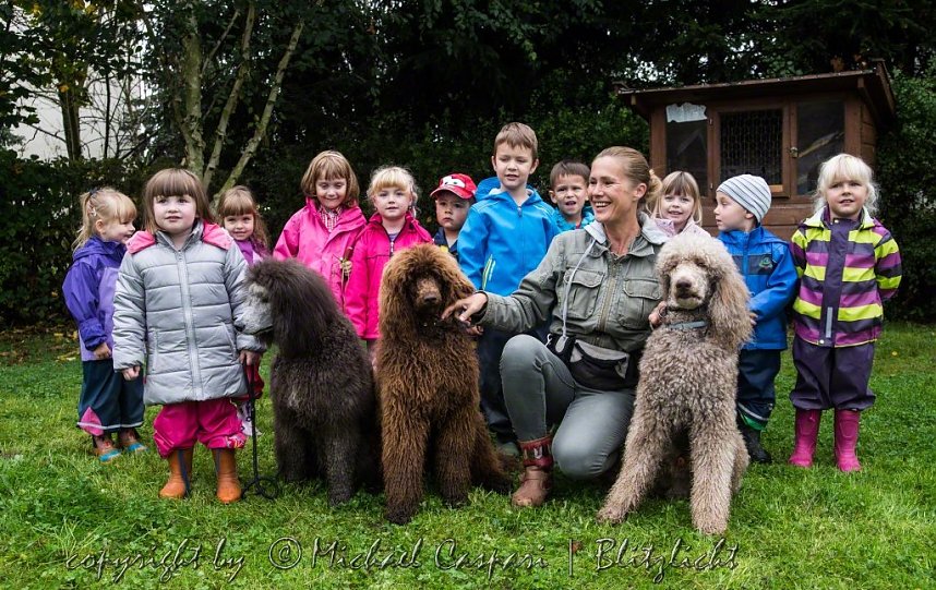 Therapiehunde unterwegs