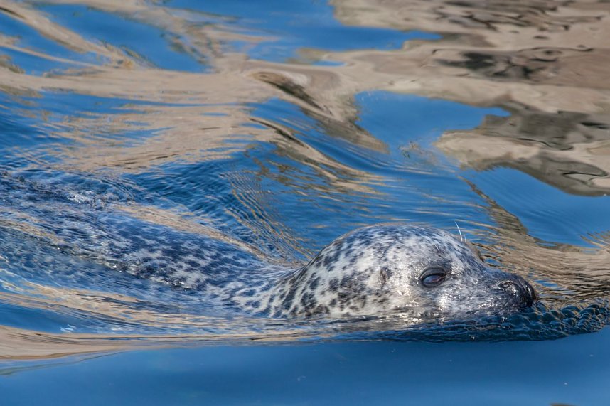 Besuch im Zoo am Meer