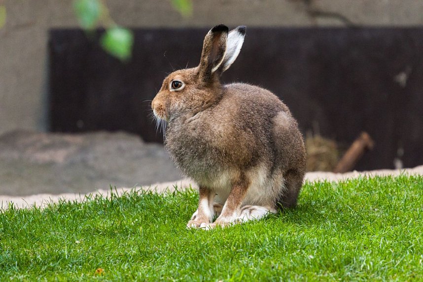 Besuch im Zoo am Meer