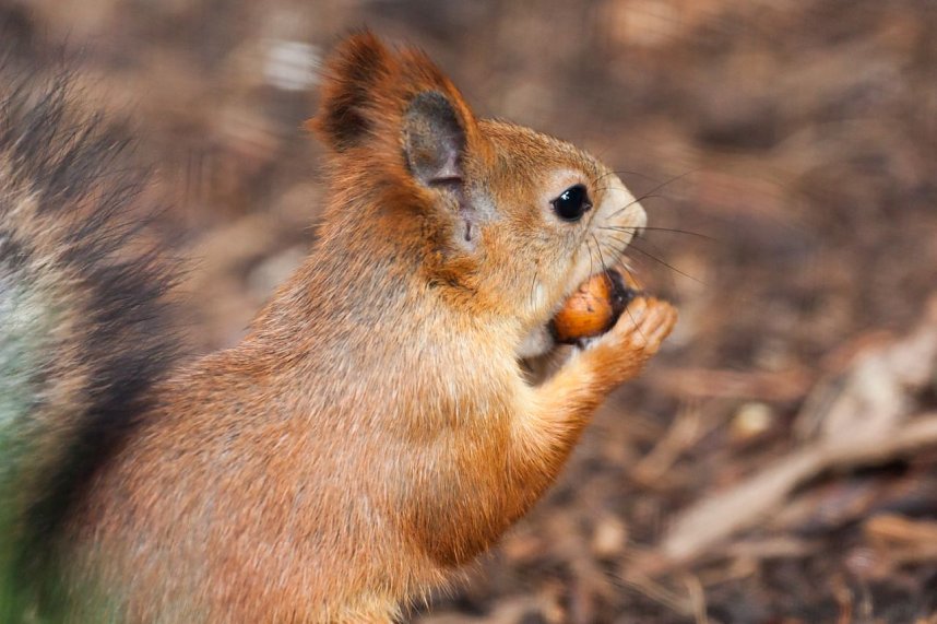 Besuch im Zoo am Meer