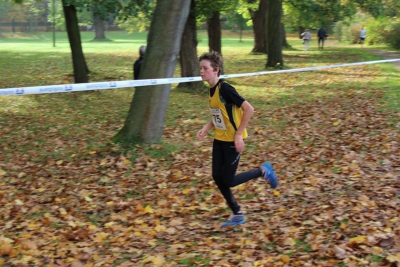 Stadtparklauf in Sondershausen