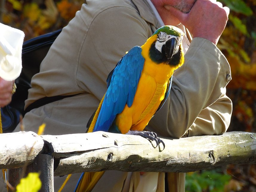 Herbstfest an der Barbarossa-H&ouml;hle
