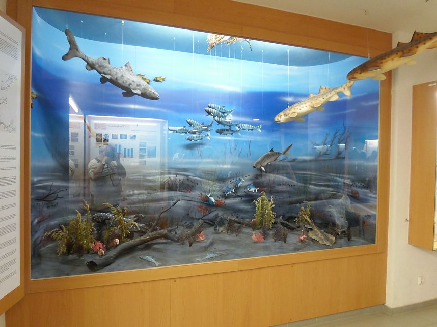 Herbstfest an der Barbarossa-H&ouml;hle