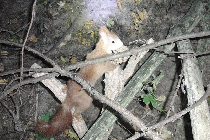 Mehrgenerationshaus Ro&szlig;leben