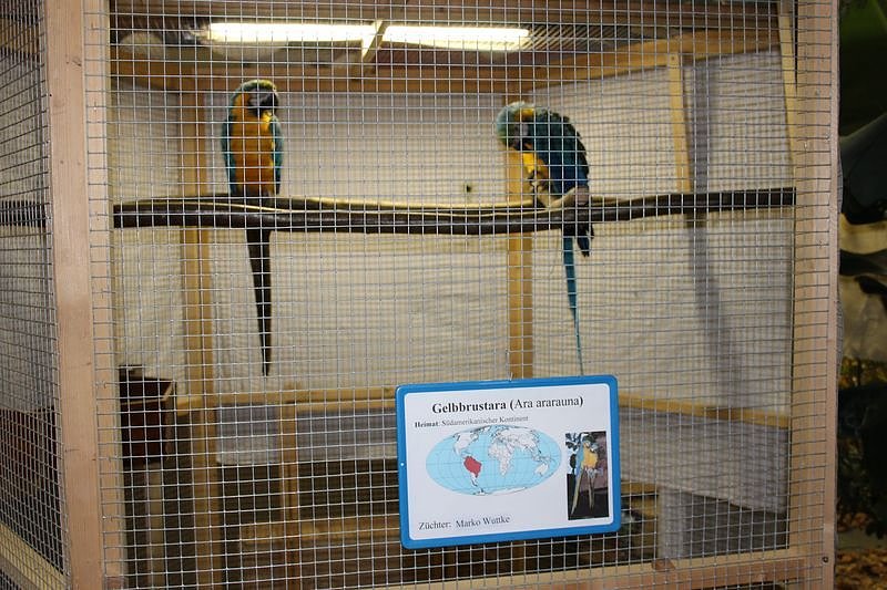 Zauberhafte Ausstellung