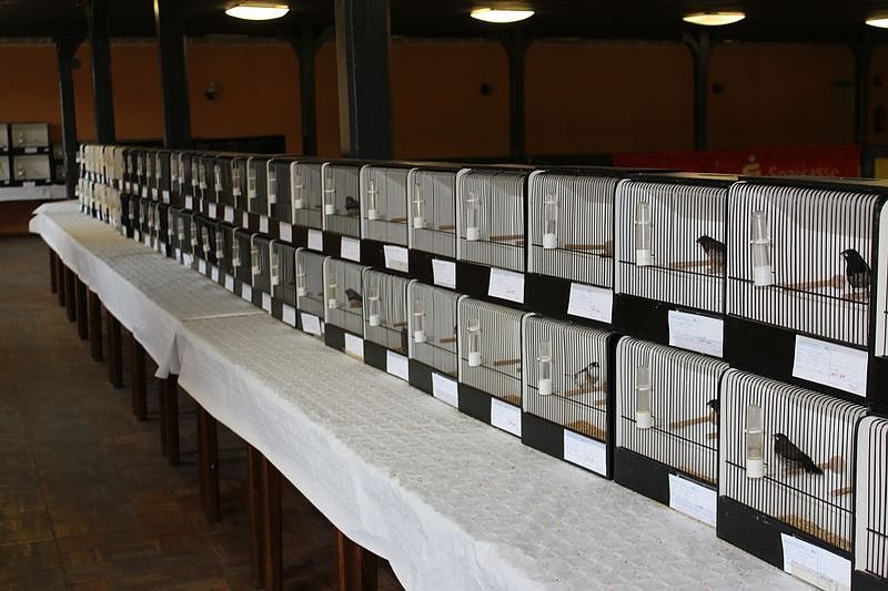 Zauberhafte Ausstellung