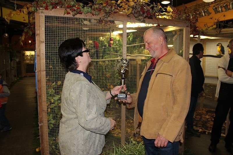 Zauberhafte Ausstellung