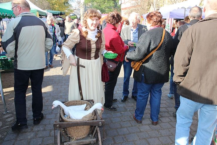 Gedr&auml;nge auf dem Martinsmarkt