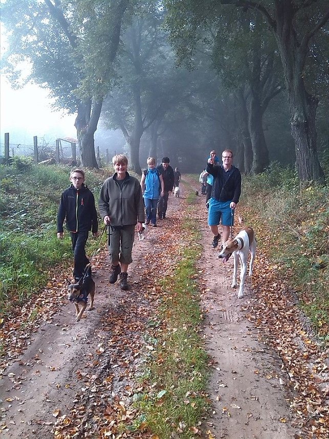 Herbstwanderung des Sondersh&auml;user Hundevereins