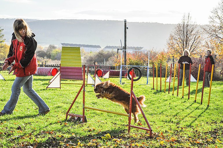 Agility Fun-Turnier in der Hundeschule ABC