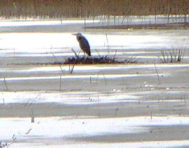 Winterwanderung Frauenberg