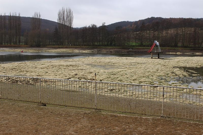 Premiere am Bebraer Teich