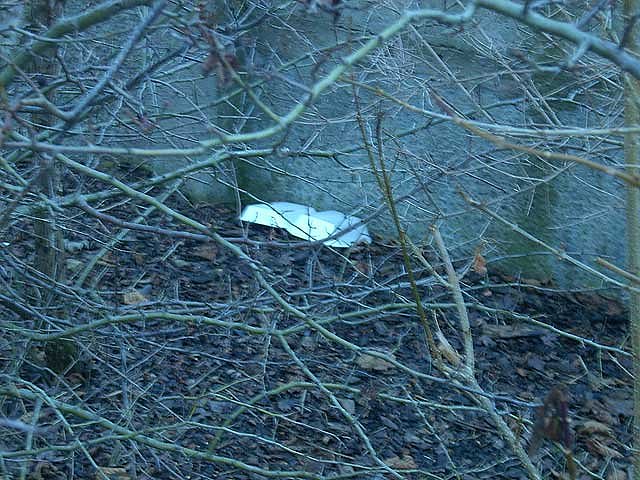 M&uuml;ll in der Stadt