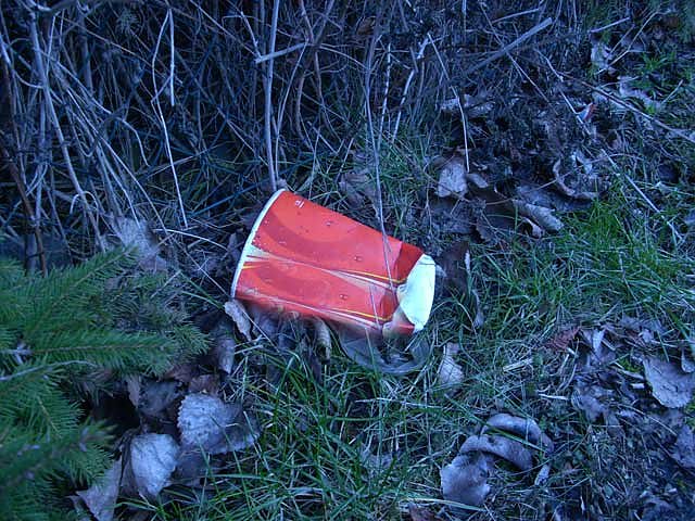 M&uuml;ll in der Stadt