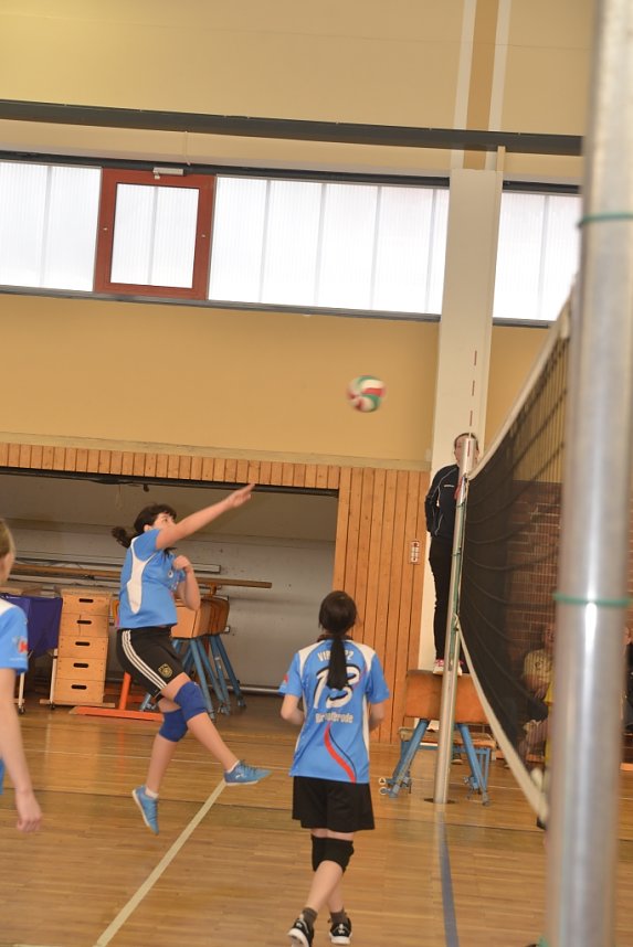 Volleyball in Nordhausen