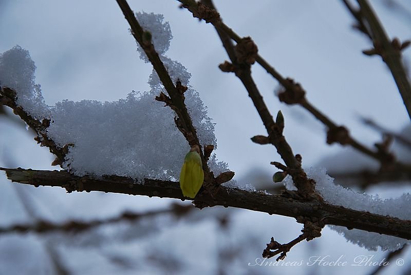 Winter in Greu&szlig;en