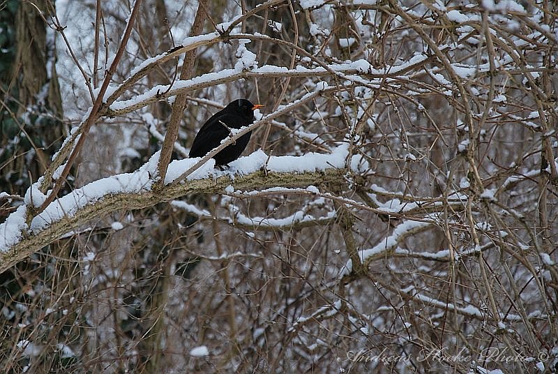 Winter in Greu&szlig;en
