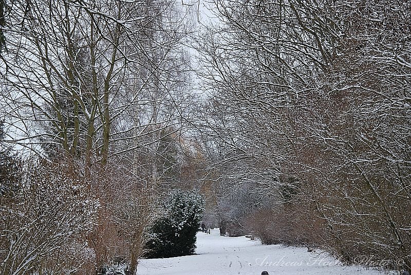 Winter in Greu&szlig;en