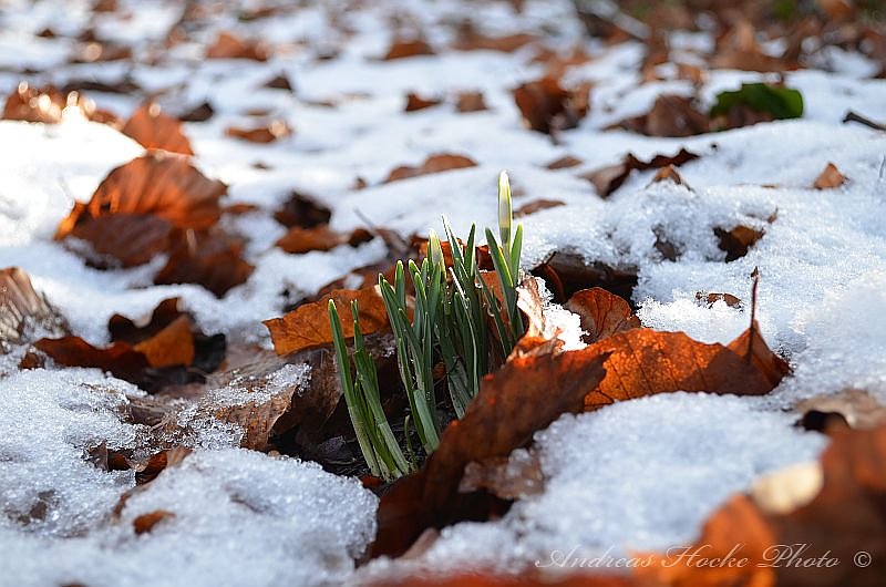 Winter in Greu&szlig;en