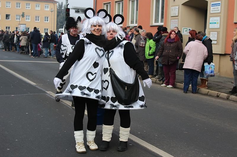 N&auml;rrinnen und Narren zogen durch Sondershausen (1)