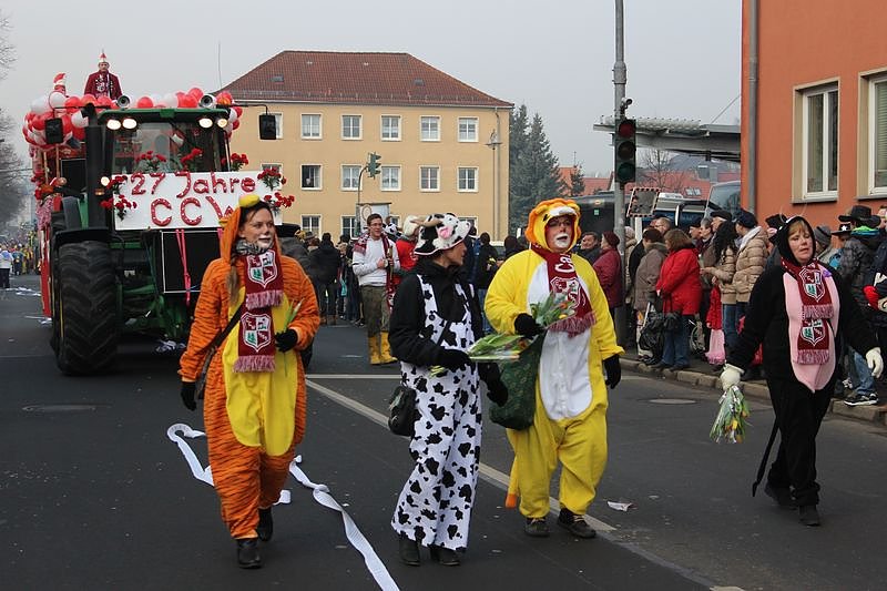 N&auml;rrinnen und Narren zogen durch Sondershausen (1)
