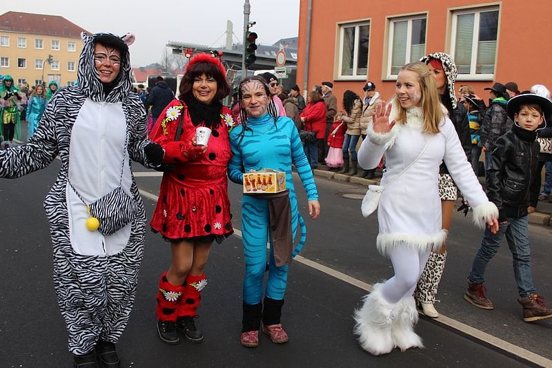 N&auml;rrinnen und Narren zogen durch Sondershausen (1)