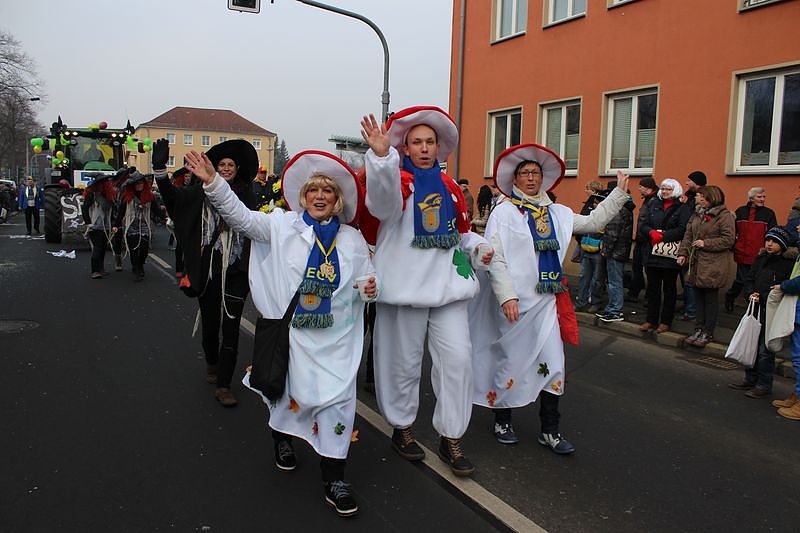 N&auml;rrinnen und Narren zogen durch Sondershausen (1)