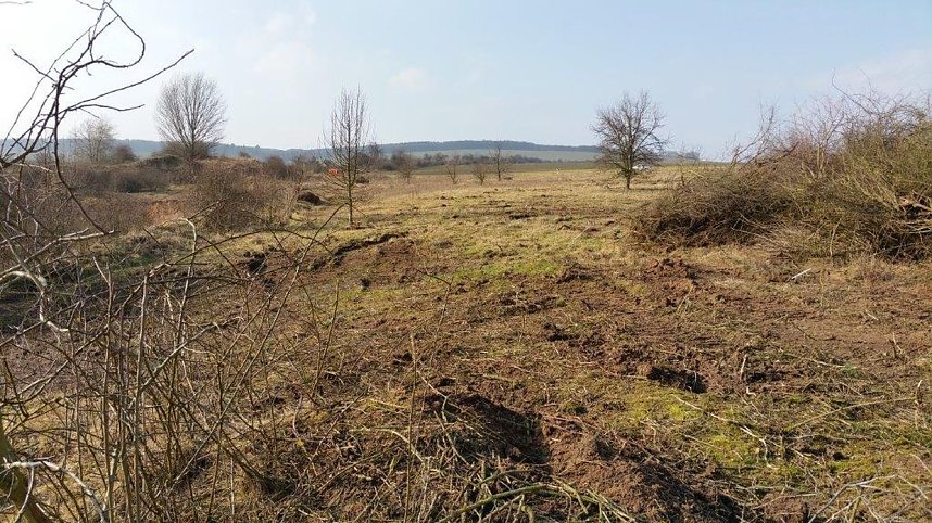 NABU-Kyffh&auml;userkreis- Aktuell: