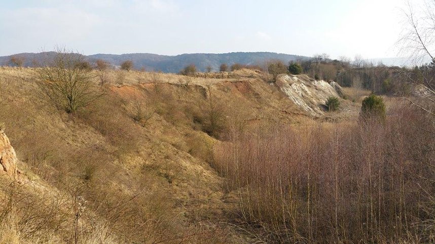 NABU-Kyffh&auml;userkreis- Aktuell: