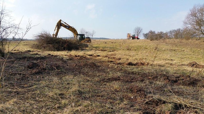 NABU-Kyffh&auml;userkreis- Aktuell: