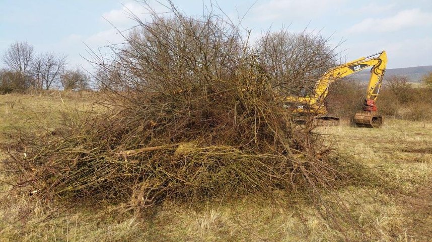 NABU-Kyffh&auml;userkreis- Aktuell: