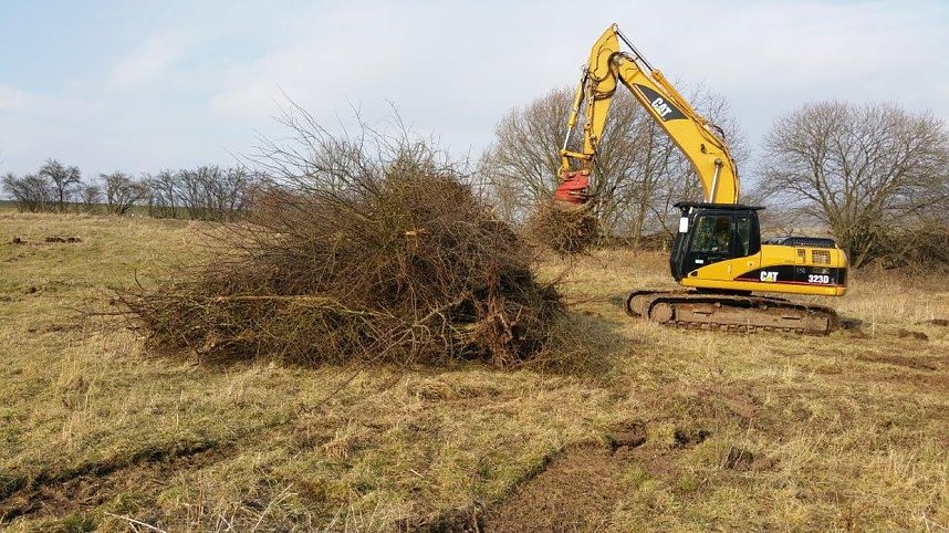 NABU-Kyffh&auml;userkreis- Aktuell: