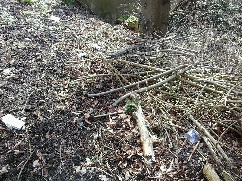 M&uuml;ll &uuml;ber M&uuml;ll