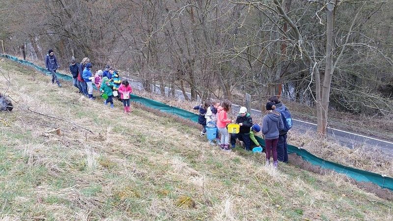 NABU Kids helfen Amphibien