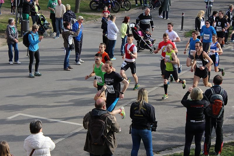 Impressionen vom 37. Kyffh&auml;user Berglauf