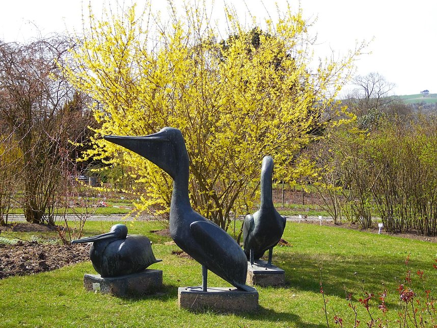 Saisoner&ouml;ffnung im Sangerh&auml;user Rosarium