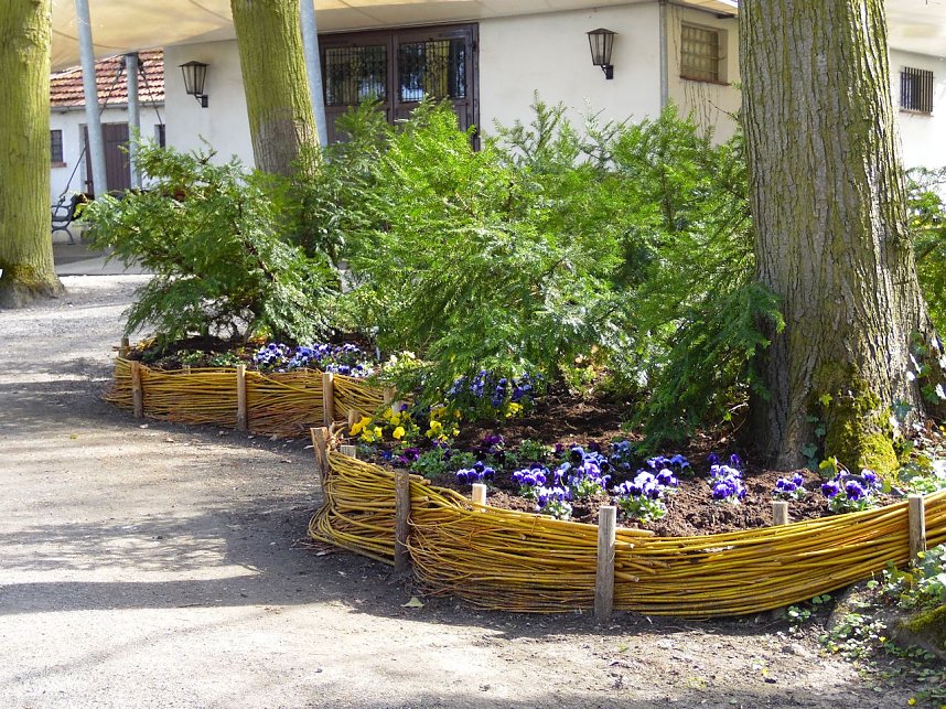 Saisoner&ouml;ffnung im Sangerh&auml;user Rosarium