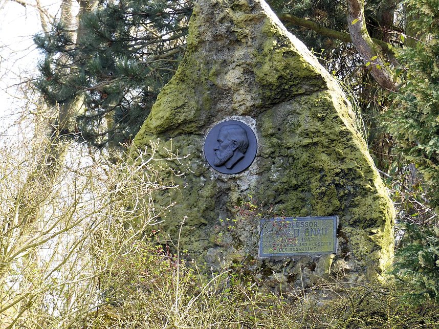 Saisoner&ouml;ffnung im Sangerh&auml;user Rosarium