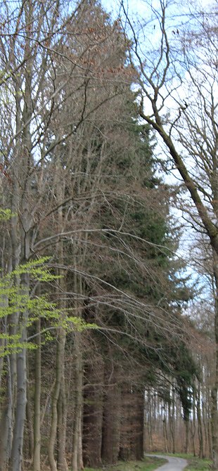 Wanderregion Sondershausen