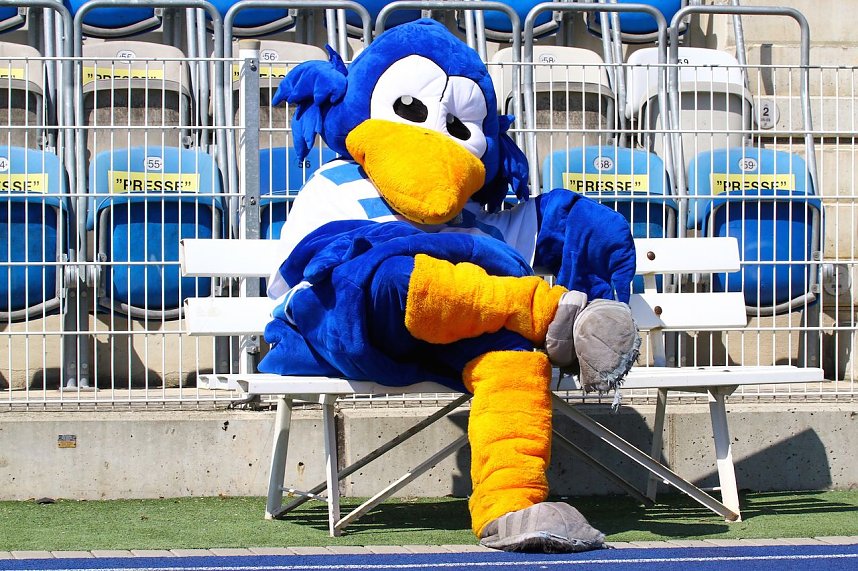 Jena gegen Wacker 1:1