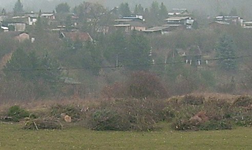 Begonnener Aufbau Osterfeuer