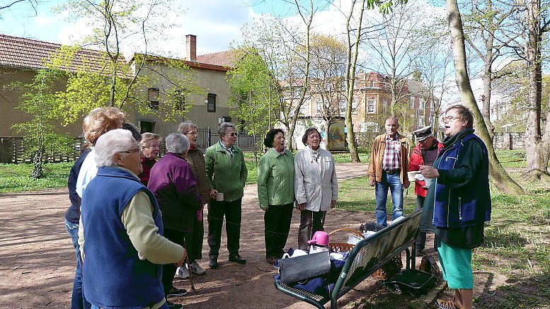 Stadt erstrahlt wieder