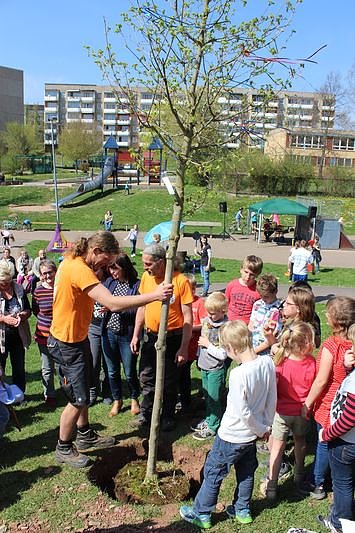 Bereits 10. Baumfest in Sondershausen