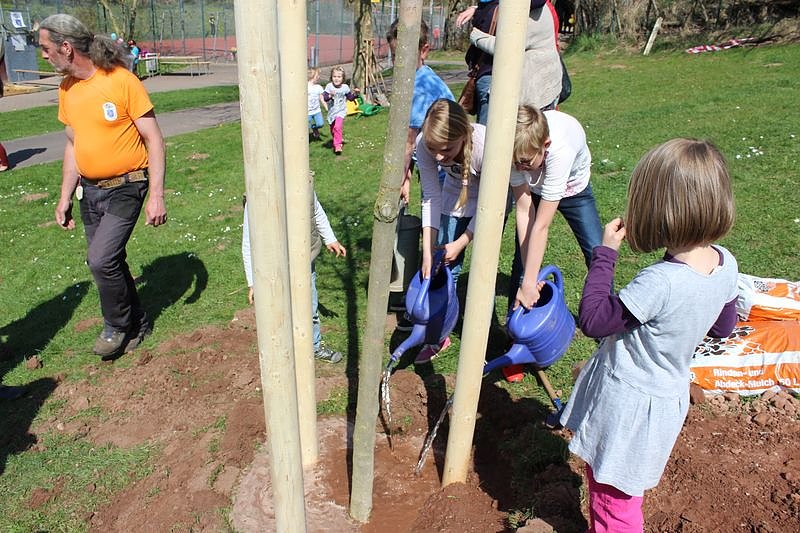 Bereits 10. Baumfest in Sondershausen