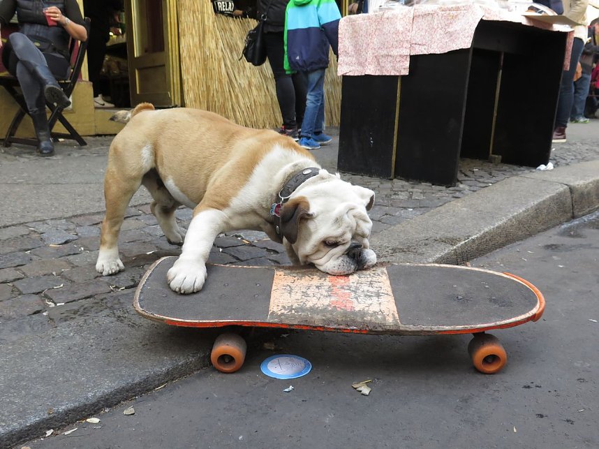1. Mai in Berlin Kreuzberg
